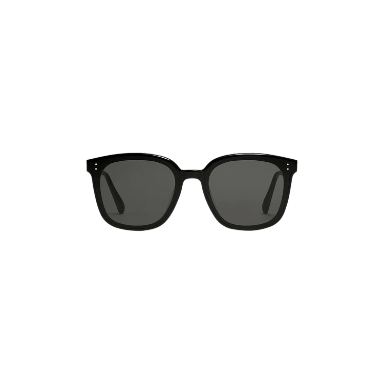 Gentle Monster Libe 01 Sunglasses — Black