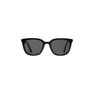 Gentle Monster Tam 01 Sunglasses — Black