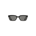 Gentle Monster Didion 01 Tinted Sunglasses — Black