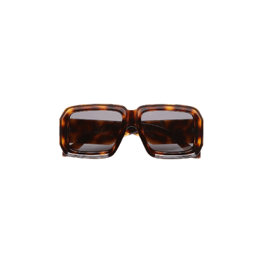 Loewe x Paula's Ibiza Sunglasses — Brown