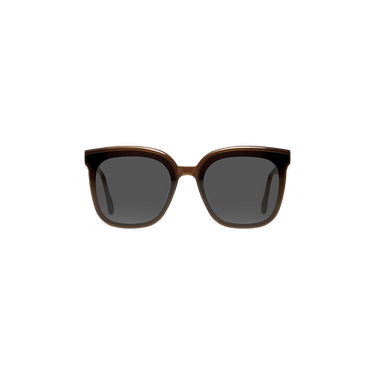 Gentle Monster x Moncler Swipe 4 Sunglasses — Brown