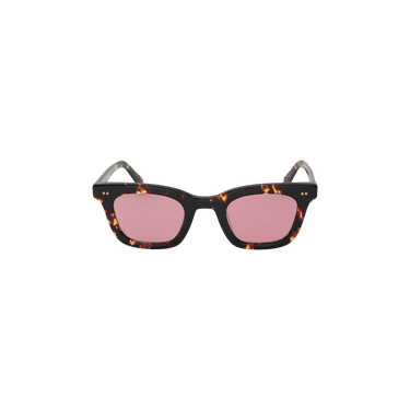 Stussy Ace Sunglasses — Brown