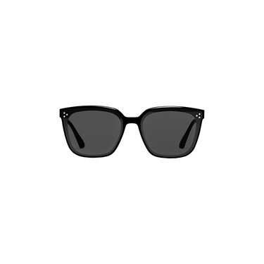 Gentle Monster Palette 01 Small Sunglasses — Black