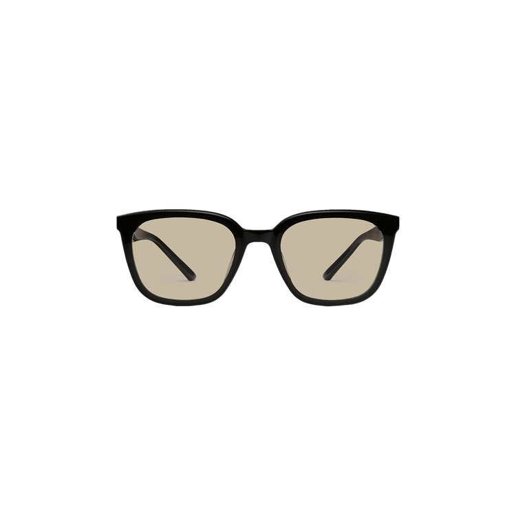 Gentle Monster Pino 01 Br Sunglasses — Black