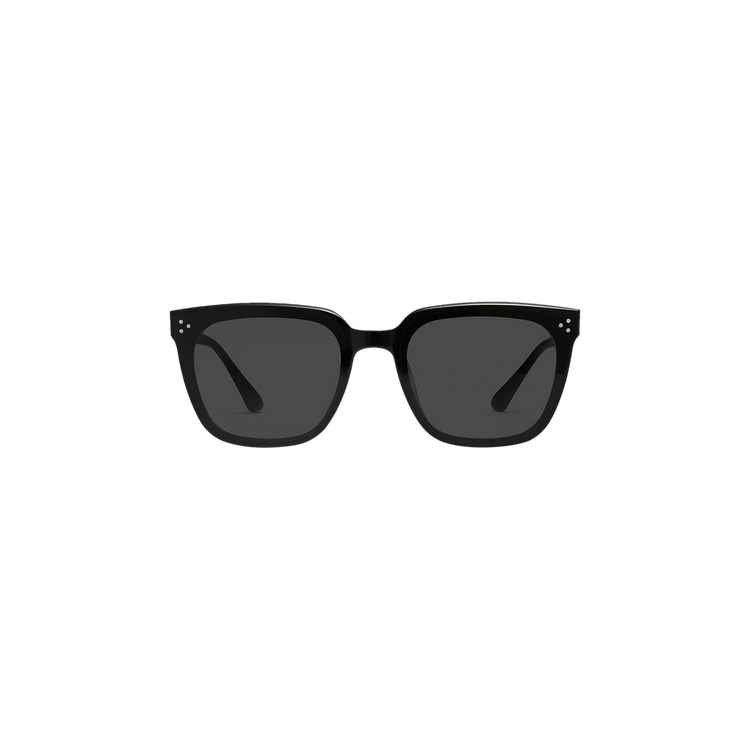 Gentle Monster Alan 01 Sunglasses — Black