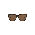 Balenciaga Square Sunglasses — Brown