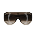 Phoebe Philo Bombé Oversized Frame Sunglasses — Brown