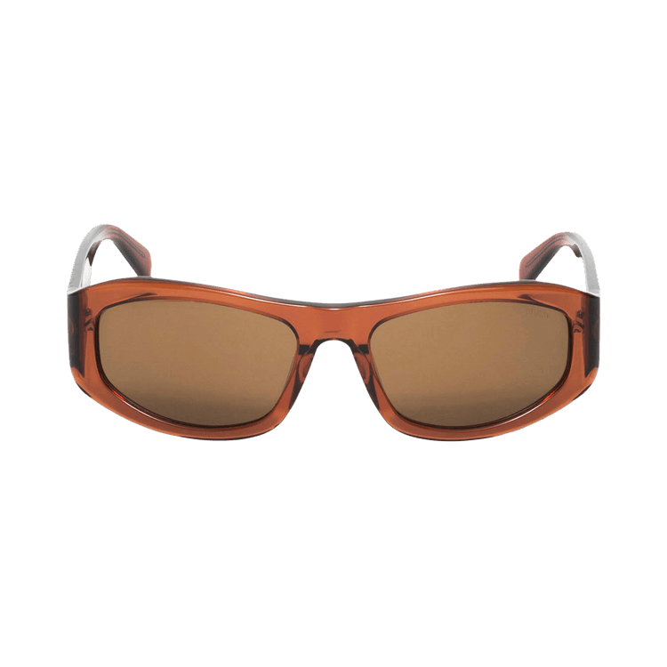 Stussy Landon Sunglasses — Brown