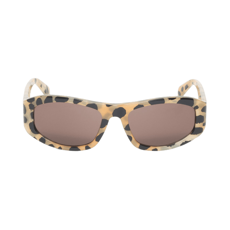 Stussy Landon Sunglasses — Brown