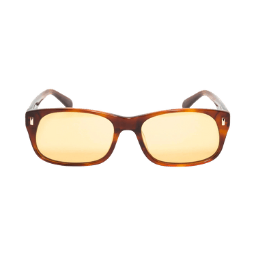 Stussy Michael Sunglasses — Brown