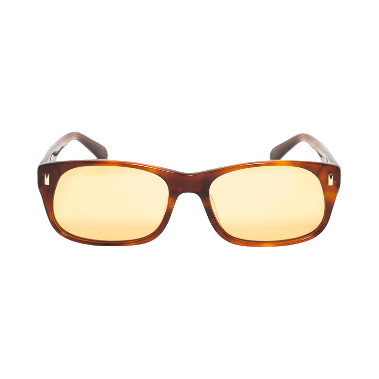 Stussy Michael Sunglasses — Brown