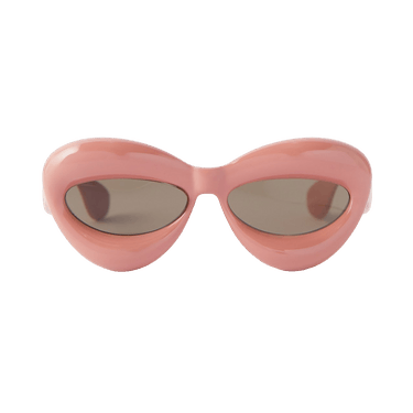 Loewe Cat Eye Injection Sunglasses — Pink
