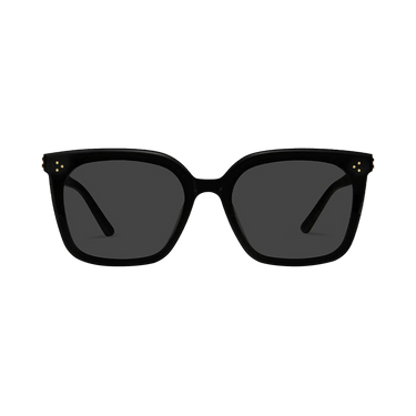 Gentle Monster Piana 01 Sunglasses — Black