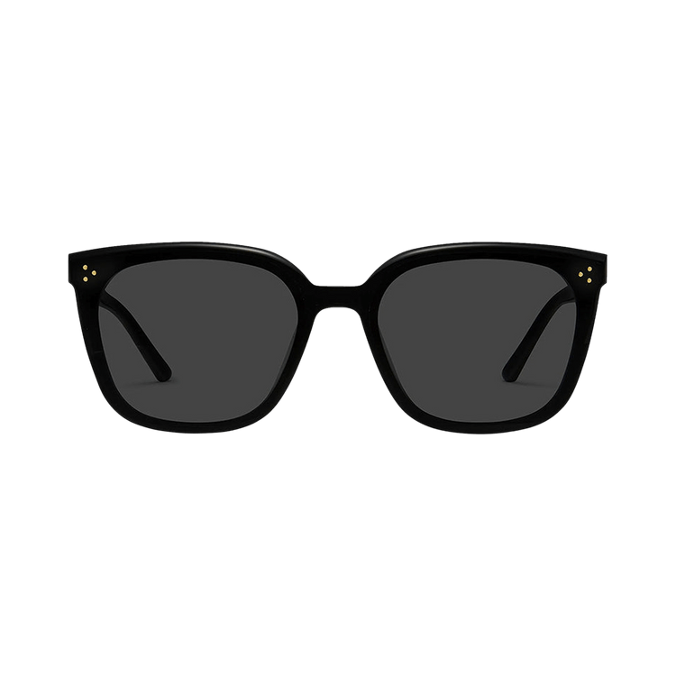 Gentle Monster Loloe 01 Sunglasses — Black