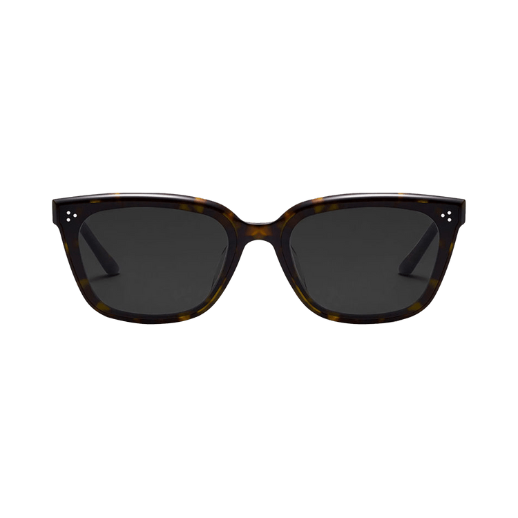 Gentle Monster Numer T1 Sunglasses — Black