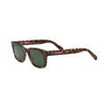 Supreme Avon Sunglasses — Brown