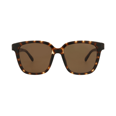 Balenciaga Square Sunglasses — Brown