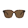 Balenciaga Square Sunglasses — Brown