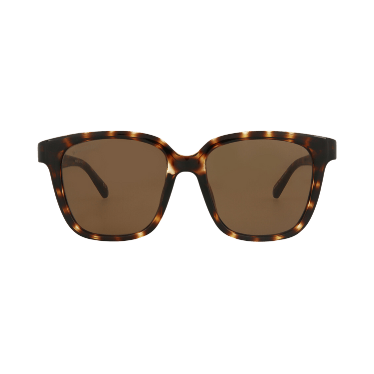 Balenciaga Square Sunglasses — Brown