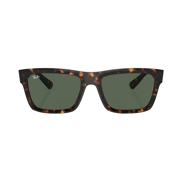 Ray-Ban Warren Sunglasses — Brown