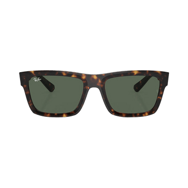 Ray-Ban Warren Sunglasses — Brown