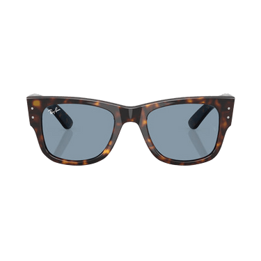 Ray-Ban Mega Wayfarer Sunglasses — Brown