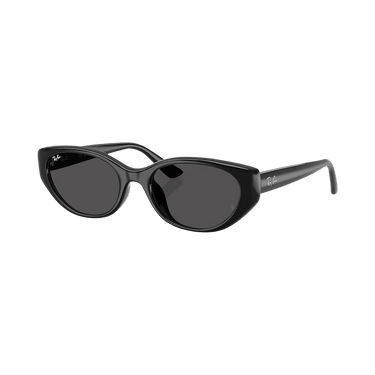 Ray-Ban Bio-Based Sunglasses — Black