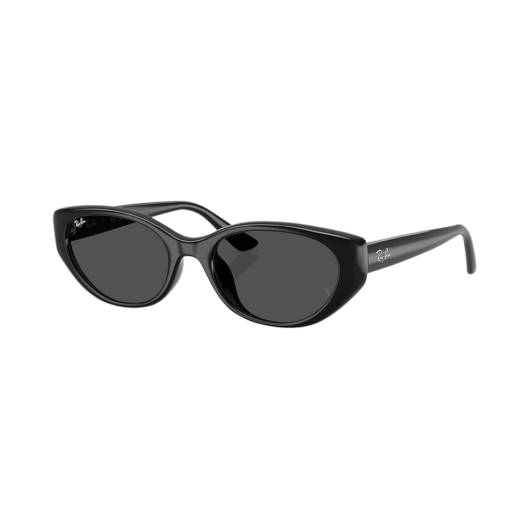 Ray-Ban Bio-Based Sunglasses — Black