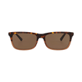 Alexander McQueen Square Frame Acetate Sunglasses — Brown