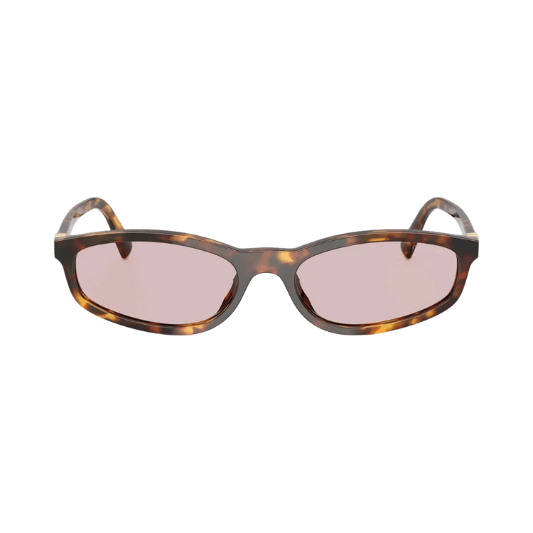 Miu Miu Regard Sunglasses — Brown