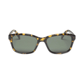 Stussy Alan Sunglasses — Green