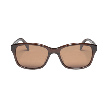 Stussy Alan Sunglasses — Brown