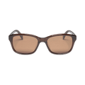 Stussy Alan Sunglasses — Brown