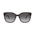 Saint Laurent Cat Eye-Frame Acetate Sunglasses — Brown