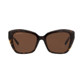 Balenciaga Cat Eye-Frame Recycled Acetate Sunglasses — Brown