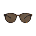 Gucci Round-Frame Recycled Acetate Sunglasses — Brown