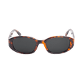 Stussy Roman Sunglasses — Brown