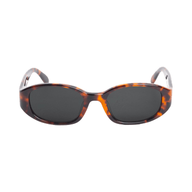 Stussy Roman Sunglasses — Brown