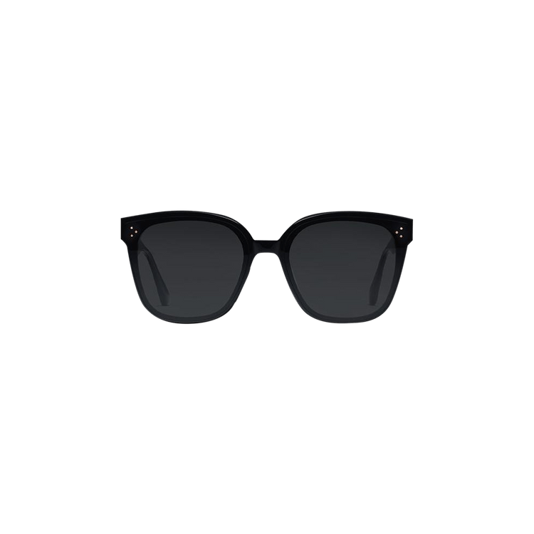 Gentle Monster Rick 01 Sunglasses — Black