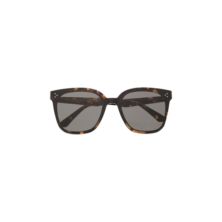 Gentle Monster Rick T1 Sunglasses — Brown