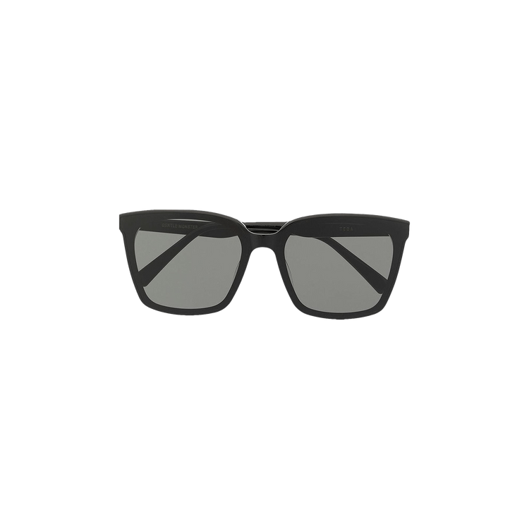 Gentle Monster Tega 01 Sunglasses — Black