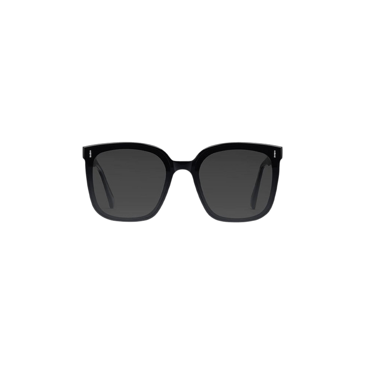 Gentle Monster Frida 01 Sunglasses — Black