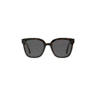 Gentle Monster Rick T1 Sunglasses — Brown