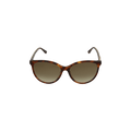 Gucci Cat Eye Acetate Frame Sunglasses — Brown