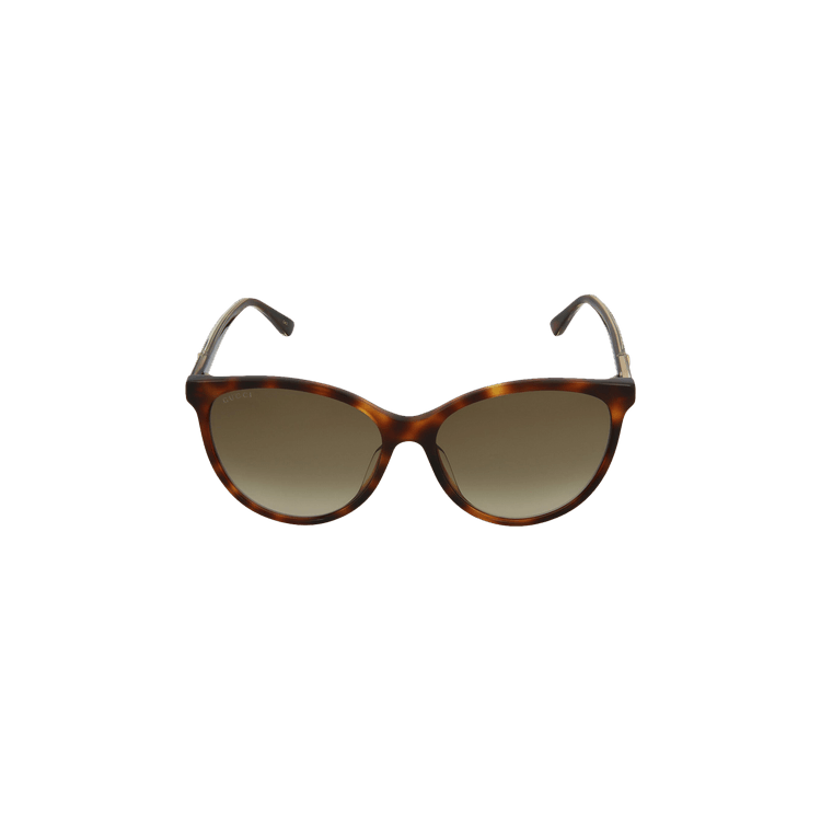 Gucci Cat Eye Acetate Frame Sunglasses — Brown