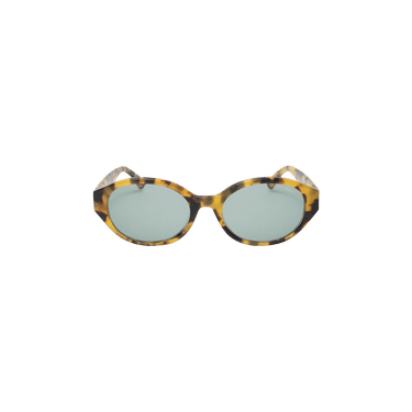Stussy Penn Sunglasses — Brown