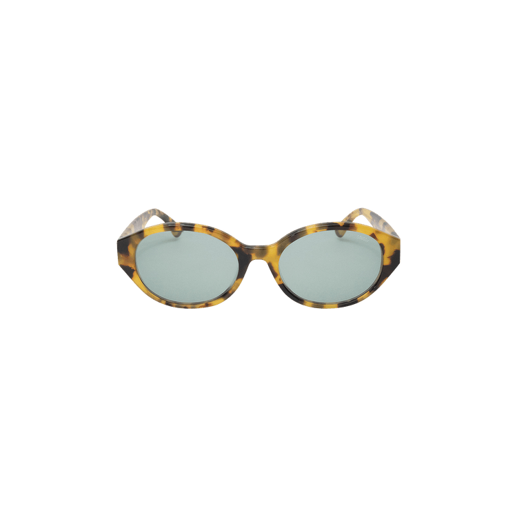 Stussy Penn Sunglasses — Brown