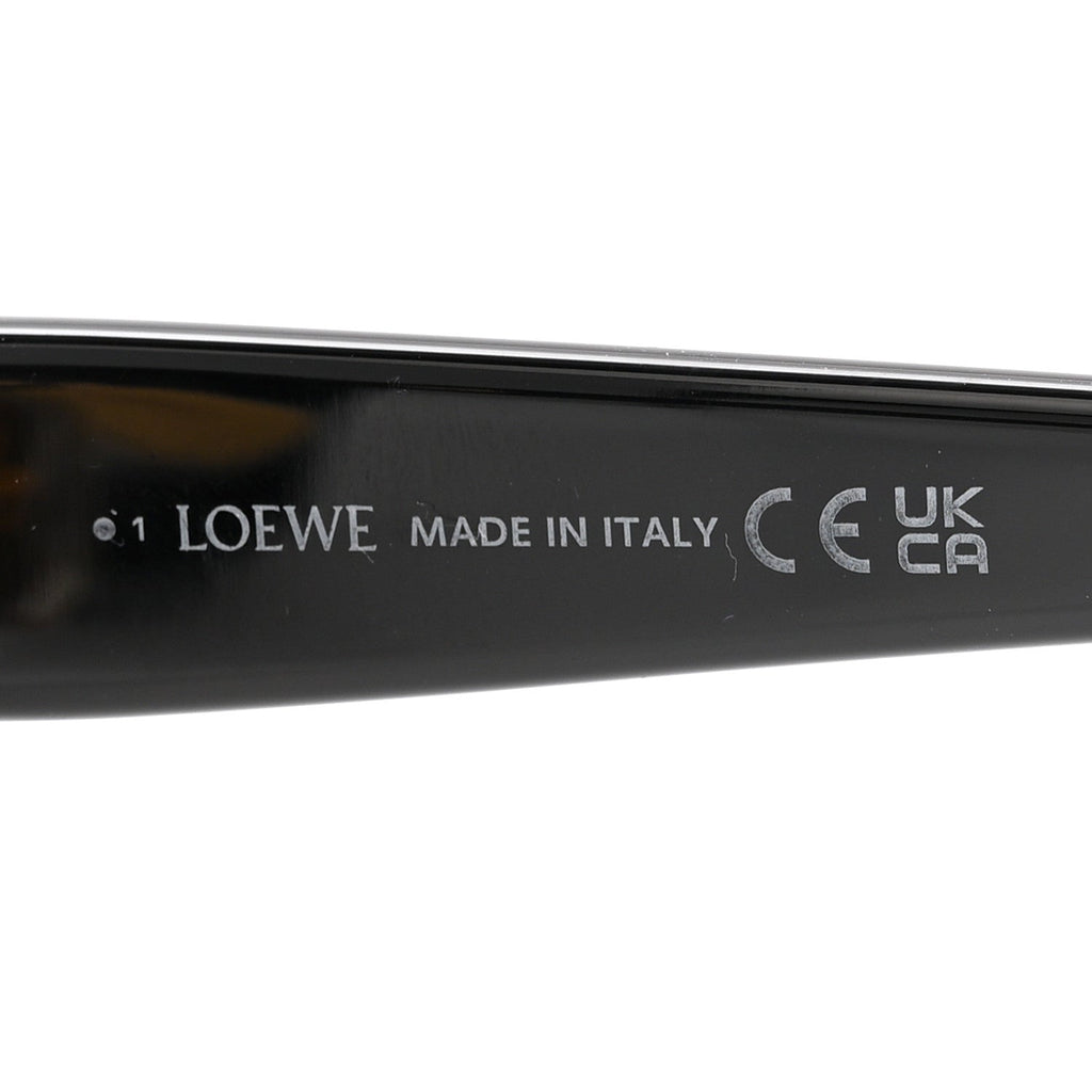 Loewe Cat-Eye Sunglasses — Black