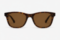 Sorenzia Brown Wayfarer Glasses